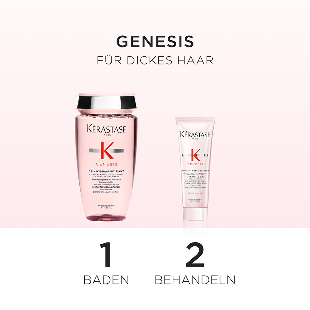 ENTDECKUNGSDUO GENESIS REINFORCATEUR
