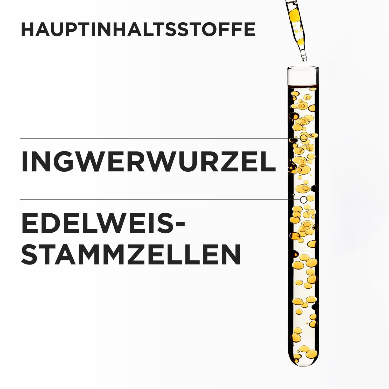 Genesis Fondant Reinforcateur