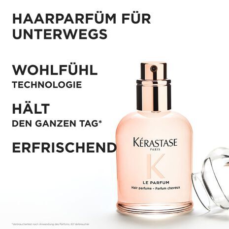 EINZIGARTIGES PFLEGERITUAL GLANZ ANTI-FRIZZ