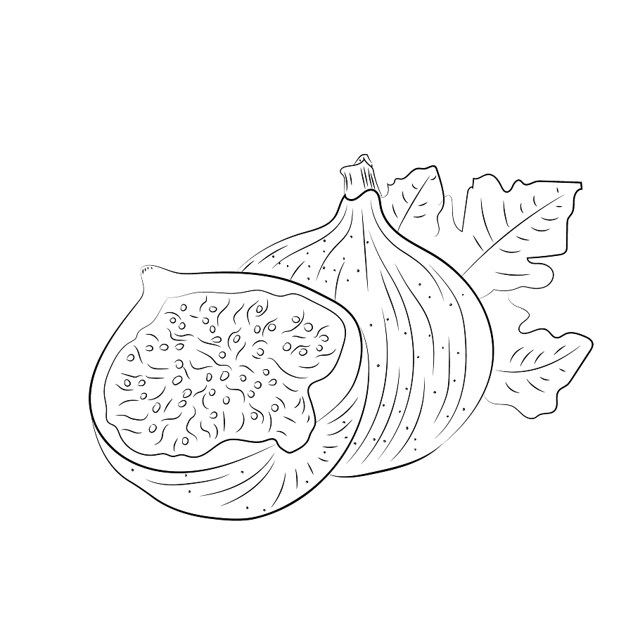 FIG